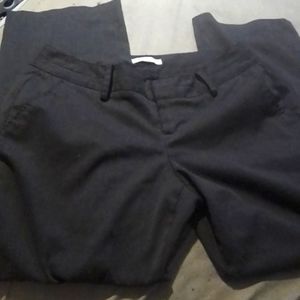 Dress pants